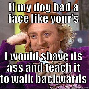 IF MY DOG HAD A FACE LIKE YOUR'S I WOULD SHAVE ITS ASS AND TEACH IT TO WALK BACKWARDS Condescending Wonka