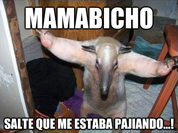 MAMABICHO SALTE QUE ME ESTABA PAJIANDO...!  I got this