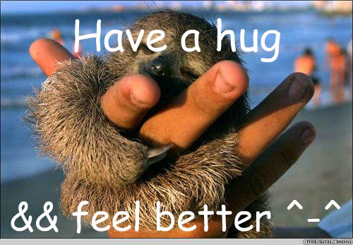 Have a hug  && feel better ^-^  cute baby sloth