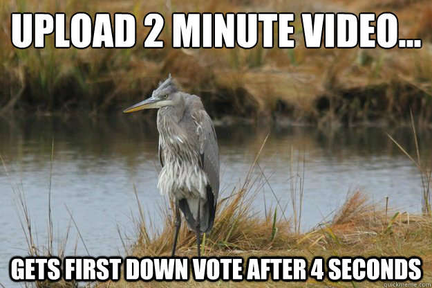 upload 2 minute video... gets first down vote after 4 seconds   