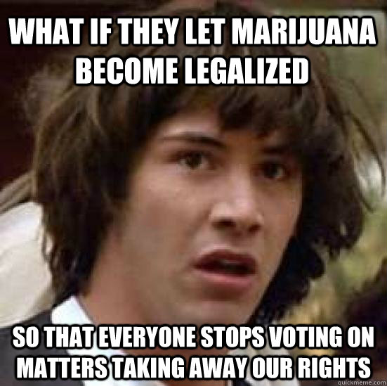 What if they let marijuana become legalized so that everyone stops voting on matters taking away our rights  conspiracy keanu