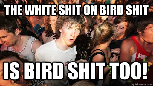 the white shit on bird shit is bird shit too!  Sudden Clarity Clarence