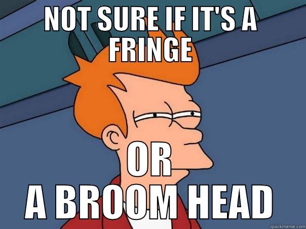 SOPH THE SLOOT - NOT SURE IF IT'S A FRINGE OR A BROOM HEAD Futurama Fry
