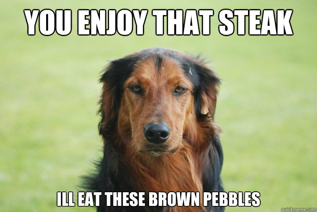 You enjoy that steak ill eat these brown pebbles  Careless Canine