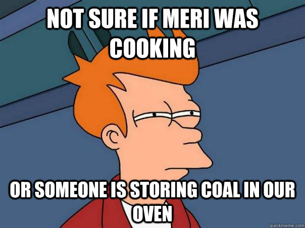 Not sure if Meri was cooking Or someone is storing coal in our oven - Not sure if Meri was cooking Or someone is storing coal in our oven  Futurama Fry