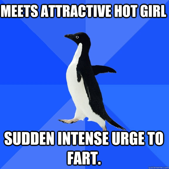Meets attractive hot girl sudden intense urge to fart.  Socially Awkward Penguin
