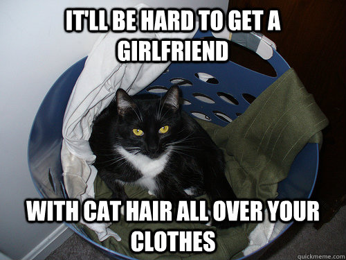 It'll be hard to get a girlfriend with cat hair all over your clothes - It'll be hard to get a girlfriend with cat hair all over your clothes  Misc