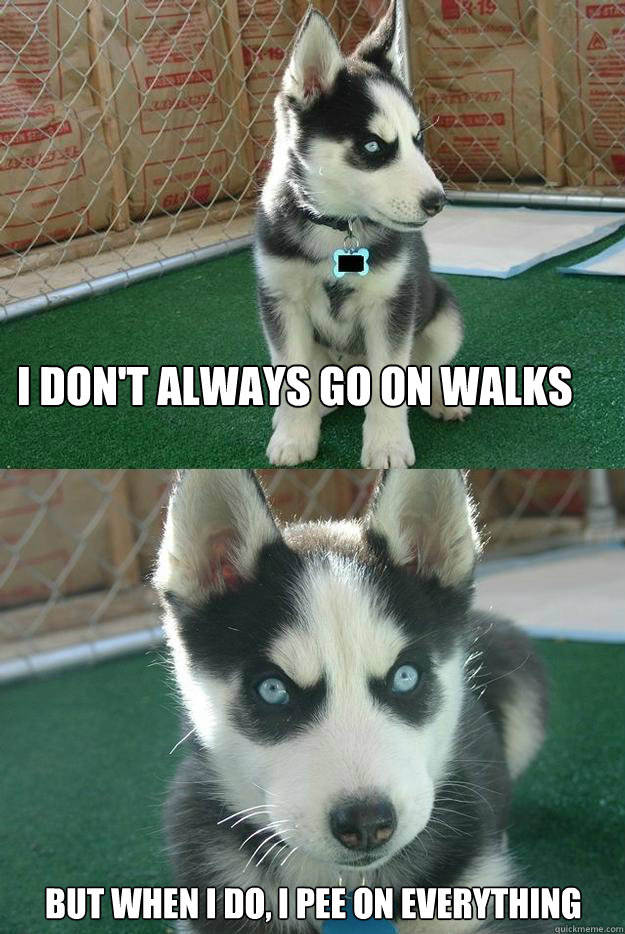 I don't always go on walks


 But when I do, i pee on everything  Insanity puppy