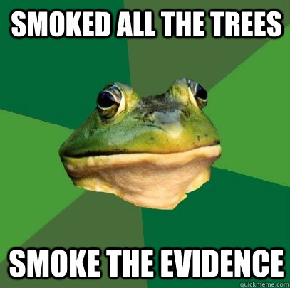 smoked all the trees smoke the evidence  Foul Bachelor Frog