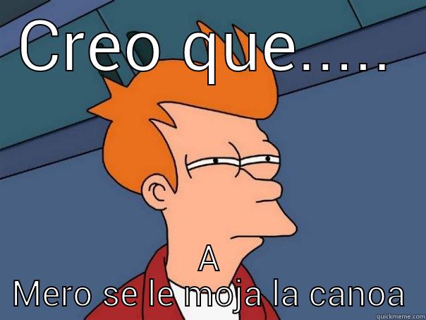 CREO QUE..... A MERO SE LE MOJA LA CANOA Futurama Fry