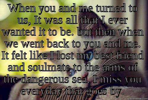 WHEN YOU AND ME TURNED TO US, IT WAS ALL THAT I EVER WANTED IT TO BE. BUT THEN WHEN WE WENT BACK TO YOU AND ME. IT FELT LIKE I LOST MY BEST FRIEND AND SOULMATE TO THE ARMS OF THE DANGEROUS SEA. I MISS YOU EVERYDAY THAT GOES BY.  First World Problems Cat