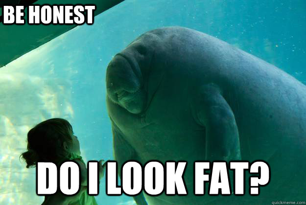 do i look fat? be honest - do i look fat? be honest  Overlord Manatee