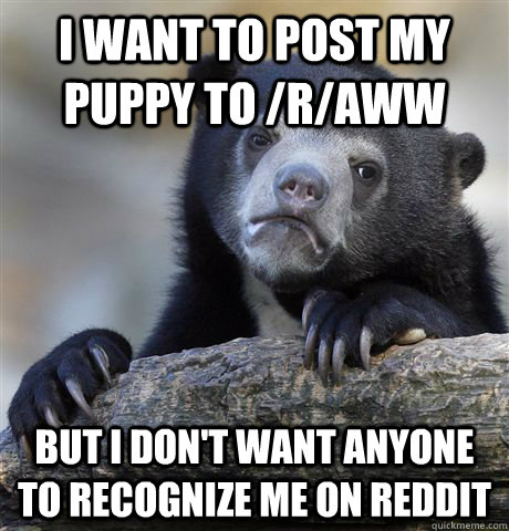 i want to post my puppy to /r/aww but i don't want anyone to recognize me on reddit  Confession Bear