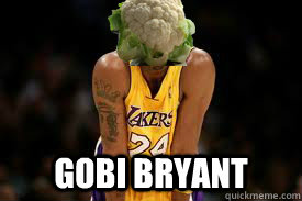  gobi bryant  gobi bryant