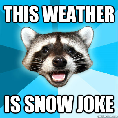 THIS WEATHER IS SNOW JOKE  Lame Pun Coon