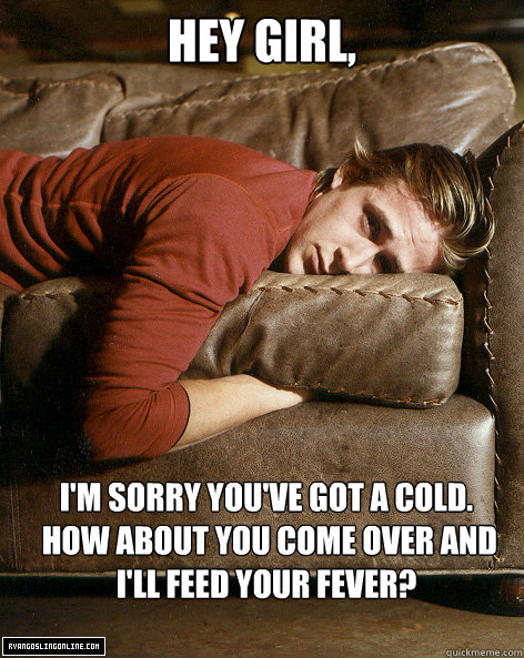 Hey Girl, I'm sorry you've got a cold.
 How about you come over and I'll feed your fever?  Ryan Gosling Hey Girl