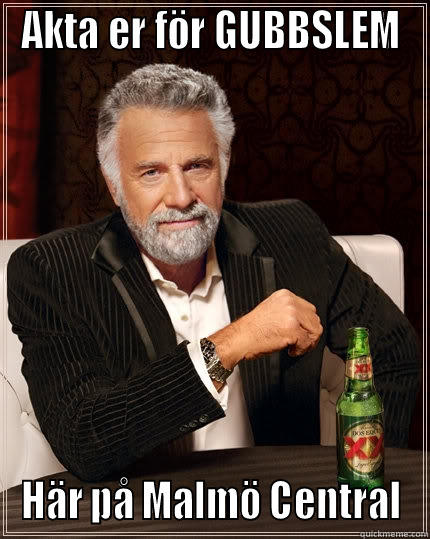 AKTA ER FÖR GUBBSLEM HÄR PÅ MALMÖ CENTRAL The Most Interesting Man In The World