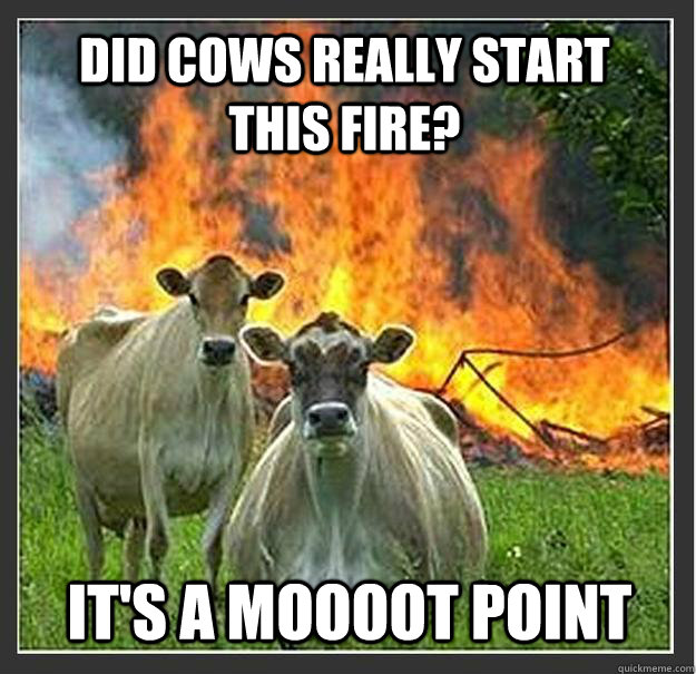 did cows really start this fire? it's a moooot point  Evil cows