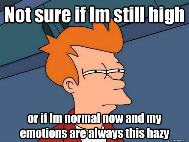 Not sure if Im still high or if Im normal now and my emotions are always this hazy  Futurama Fry