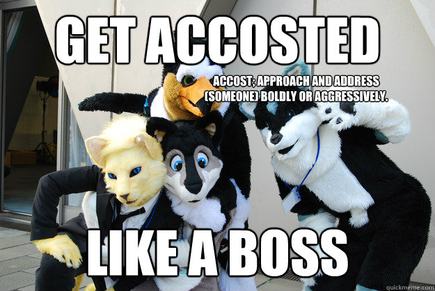 get accosted like a boss Accost; Approach and address (someone) boldly or aggressively.  Furry CEO Like a Boss