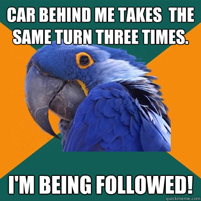 Car behind me takes  the same turn three times. I'M BEING FOLLOWeD!  Paranoid Parrot