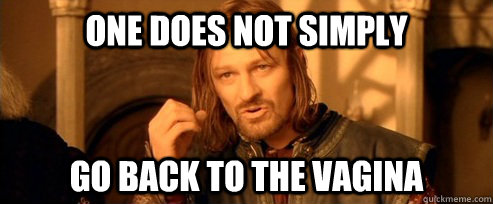 One does not simply go back to the vagina  One Does Not Simply