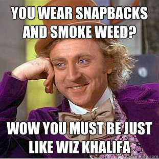 You wear snapbacks and smoke weed? wow you must be just like Wiz Khalifa  Condescending Wonka