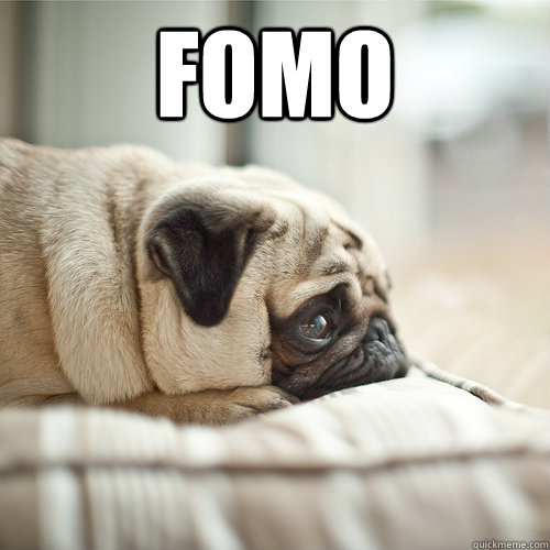 FOMO  - FOMO   Sad Skyrim Puppy
