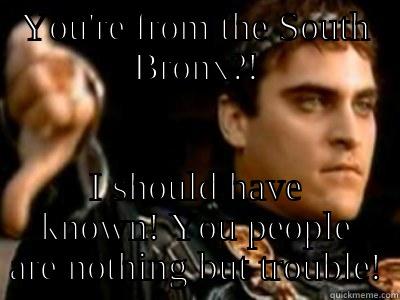 YOU'RE FROM THE SOUTH BRONX?! I SHOULD HAVE KNOWN! YOU PEOPLE ARE NOTHING BUT TROUBLE! Downvoting Roman