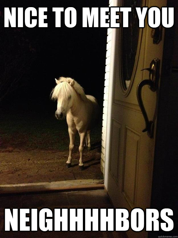 Nice to meet you Neighhhhbors - Nice to meet you Neighhhhbors  Neighborhood Nuisance