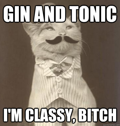 Gin and tonic  I'm classy, bitch  Original Business Cat