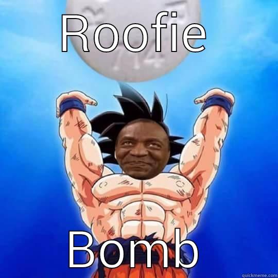 ROOFIE BOMB Misc