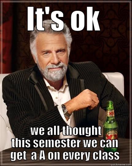 IT'S OK  WE ALL THOUGHT THIS SEMESTER WE CAN GET  A A ON EVERY CLASS The Most Interesting Man In The World
