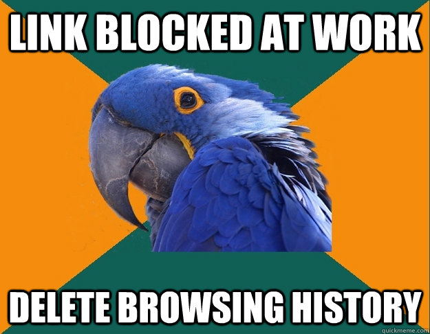link blocked at work delete browsing history  Paranoid Parrot