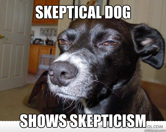 Skeptical Dog  Shows Skepticism  - Skeptical Dog  Shows Skepticism   Skeptical Pooch