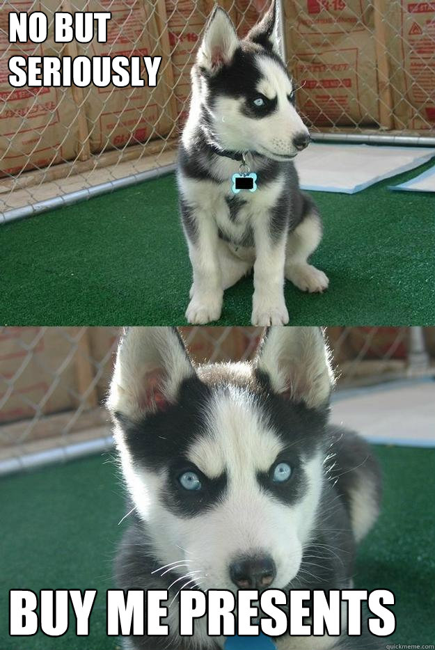 No But 
Seriously BUY ME PRESENTS  Insanity puppy
