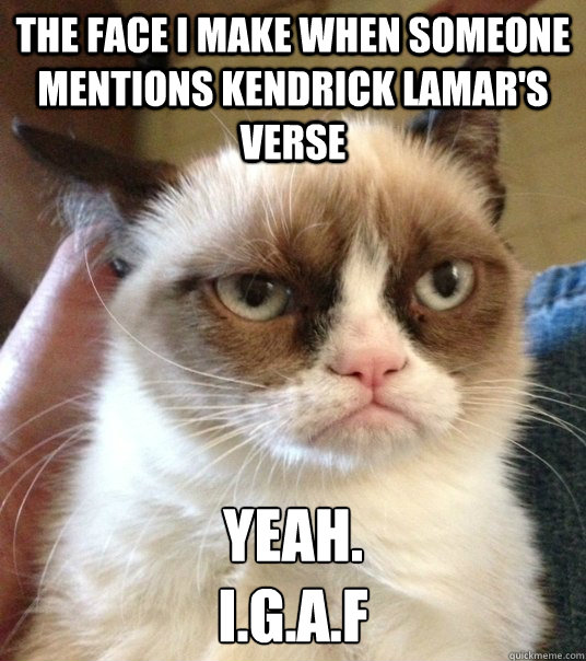 The face I make when someone mentions Kendrick Lamar's verse Yeah.
I.G.A.F - The face I make when someone mentions Kendrick Lamar's verse Yeah.
I.G.A.F  Good Day Grumpy Cat