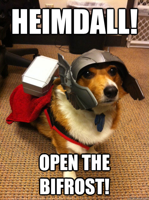 HEIMDALL! Open the Bifrost!  Thorgi Dog of Thunder