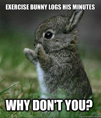 why don't you? exercise bunny logs his minutes  Cute bunny