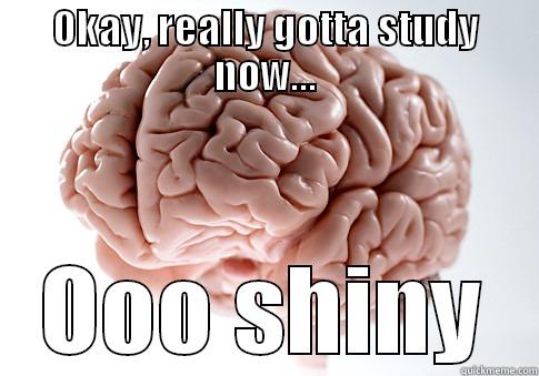 Hate when this happens! - OKAY, REALLY GOTTA STUDY NOW... OOO SHINY Scumbag Brain