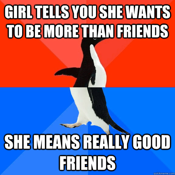 Girl Tells you she wants to be more than friends she means really good friends  Socially Awesome Awkward Penguin