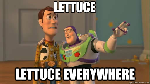 lettuce lettuce everywhere  Everywhere