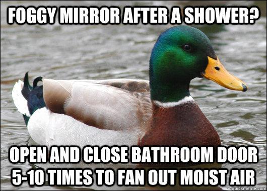 foggy mirror after a shower? open and close bathroom door 5-10 times to fan out moist air  Actual Advice Mallard