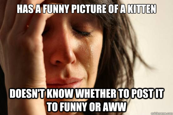 Has a funny picture of a kitten Doesn't know whether to post it to funny or aww - Has a funny picture of a kitten Doesn't know whether to post it to funny or aww  First World Problems