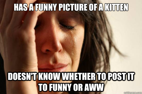 Has a funny picture of a kitten Doesn't know whether to post it to funny or aww  First World Problems