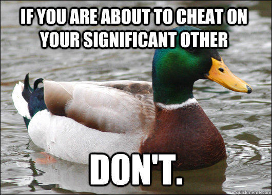 If you are about to cheat on your significant other Don't.  Actual Advice Mallard