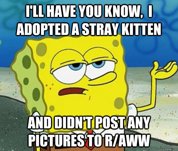I'll have you know,  I adopted a stray kitten and didn't post any pictures to r/aww  Tough Spongebob