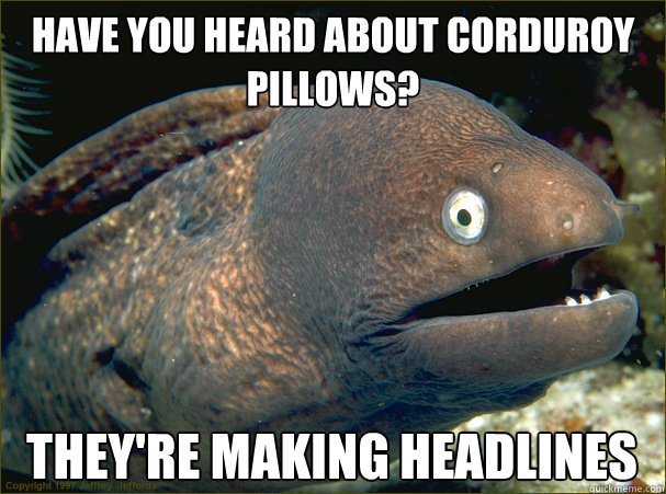 Have you heard about corduroy pillows? They're making headlines   Bad Joke Eel