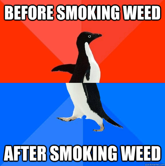 Before smoking weed after smoking weed  Socially Awesome Awkward Penguin