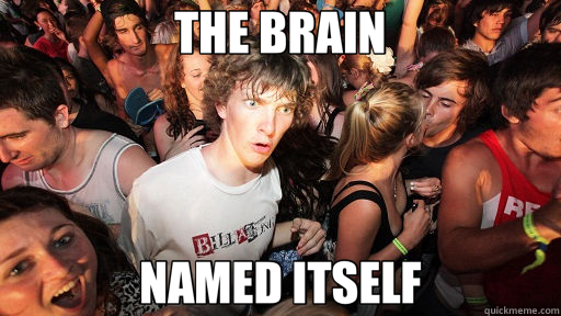 THE BRAIN NAMED ITSELF  Sudden Clarity Clarence
